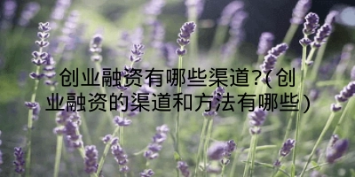 创业融资有哪些渠道?(创业融资的渠道和方法有哪些)