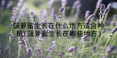 菠萝蜜生长在什么地方适合种植(菠萝蜜生长在哪些地方)