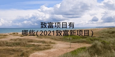 致富项目有哪些(2021致富新项目)