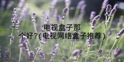 电视盒子那个好?(电视网络盒子推荐)