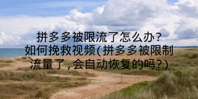 拼多多被限流了怎么办?如何挽救视频(拼多多被限制流量了,会自动恢复的吗?)