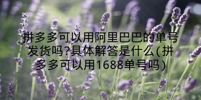 拼多多可以用阿里巴巴的单号发货吗?具体解答是什么(拼多多可以用1688单号吗)