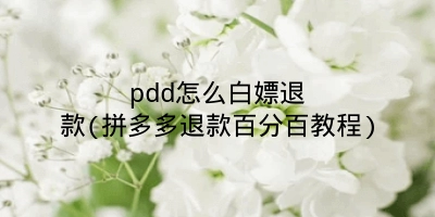 pdd怎么白嫖退款(拼多多退款百分百教程)