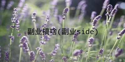 副业搞啥(副业side)