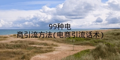 99种电商引流方法(电商引流话术)