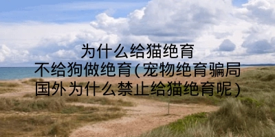 为什么给猫绝育不给狗做绝育(宠物绝育骗局国外为什么禁止给猫绝育呢)