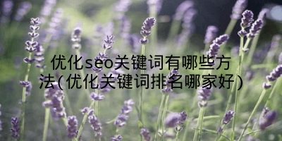 优化seo关键词有哪些方法(优化关键词排名哪家好)