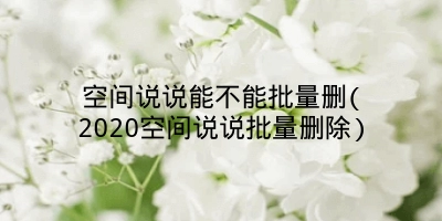 空间说说能不能批量删(2020空间说说批量删除)