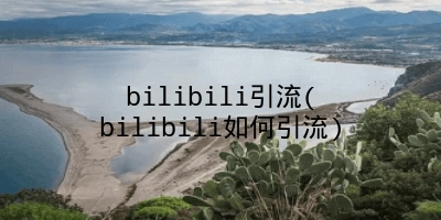 bilibili引流(bilibili如何引流)