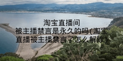 淘宝直播间被主播禁言是永久的吗(淘宝直播被主播禁言了怎么解除)