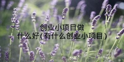 创业小项目做什么好(有什么创业小项目)