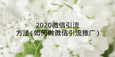 2020微信引流方法(如何做微信引流推广)