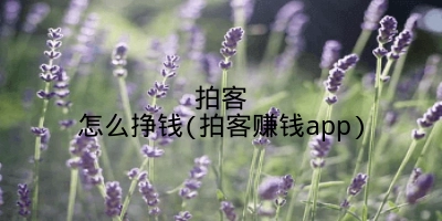 拍客怎么挣钱(拍客赚钱app)