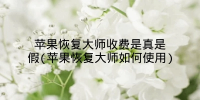 苹果恢复大师收费是真是假(苹果恢复大师如何使用)