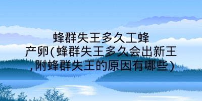 蜂群失王多久工蜂产卵(蜂群失王多久会出新王,附蜂群失王的原因有哪些)