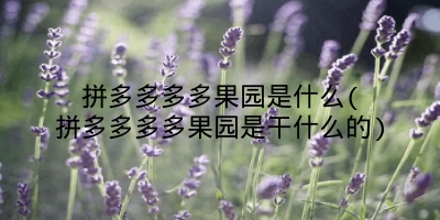 拼多多多多果园是什么(拼多多多多果园是干什么的)