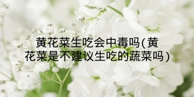 黄花菜生吃会中毒吗(黄花菜是不建议生吃的蔬菜吗)