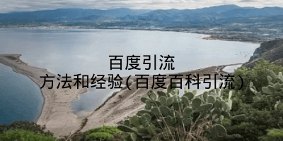 百度引流方法和经验(百度百科引流)