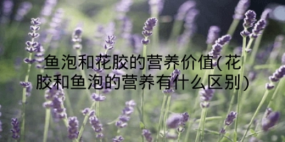 鱼泡和花胶的营养价值(花胶和鱼泡的营养有什么区别)