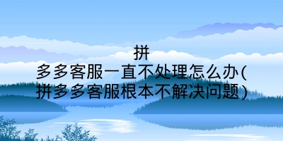 拼多多客服一直不处理怎么办(拼多多客服根本不解决问题)