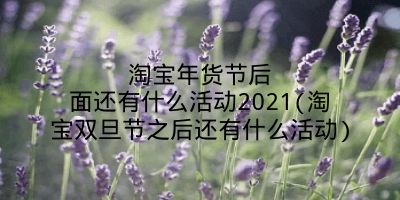 淘宝年货节后面还有什么活动2021(淘宝双旦节之后还有什么活动)