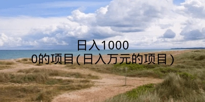 日入10000的项目(日入万元的项目)