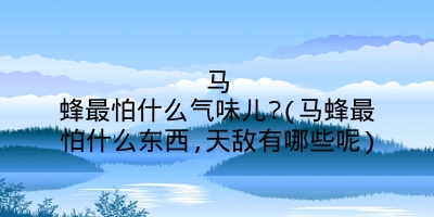 马蜂最怕什么气味儿?(马蜂最怕什么东西,天敌有哪些呢)