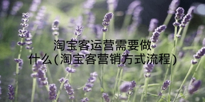 淘宝客运营需要做什么(淘宝客营销方式流程)