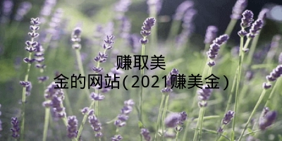 赚取美金的网站(2021赚美金)