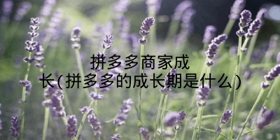 拼多多商家成长(拼多多的成长期是什么)