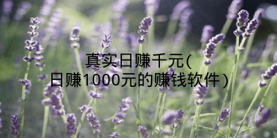 真实日赚千元(日赚1000元的赚钱软件)