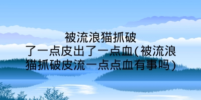 被流浪猫抓破了一点皮出了一点血(被流浪猫抓破皮流一点点血有事吗)