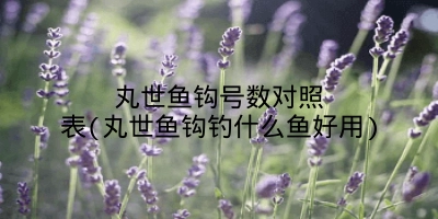 丸世鱼钩号数对照表(丸世鱼钩钓什么鱼好用)