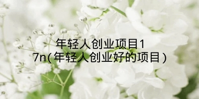 年轻人创业项目17n(年轻人创业好的项目)