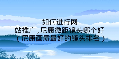 如何进行网站推广,尼康微距镜头哪个好（尼康画质最好的镜头排名）