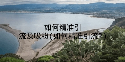 如何精准引流及吸粉(如何精准引流?)