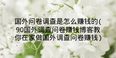 国外问卷调查是怎么赚钱的(90国外调查问卷赚钱博客教你在家做国外调查问卷赚钱)