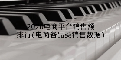 2020电商平台销售额排行(电商各品类销售数据)