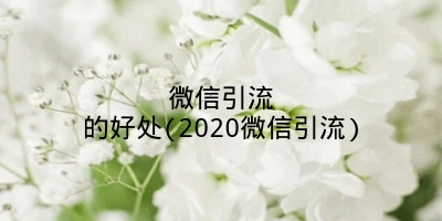 微信引流的好处(2020微信引流)