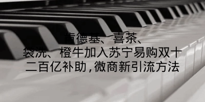 肯德基、喜茶、袋洗、橙牛加入苏宁易购双十二百亿补助,微商新引流方法