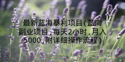 最新蓝海暴利项目(蓝海副业项目,每天2小时,月入5000,附详细操作流程)