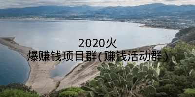 2020火爆赚钱项目群(赚钱活动群)