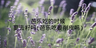 芭乐吃的时候要去籽吗(芭乐吃要削皮吗)