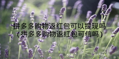 拼多多购物返红包可以提现吗(拼多多购物返红包可信吗)