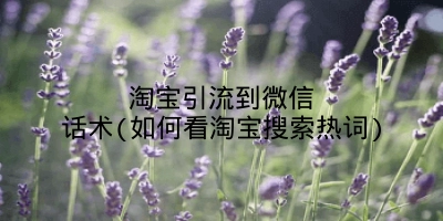 淘宝引流到微信话术(如何看淘宝搜索热词)