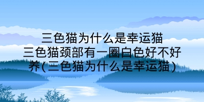 三色猫为什么是幸运猫三色猫颈部有一圈白色好不好养(三色猫为什么是幸运猫)