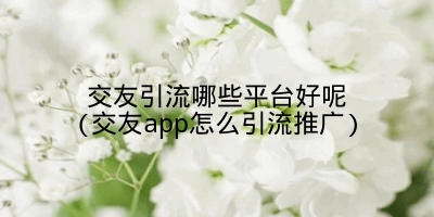 交友引流哪些平台好呢(交友app怎么引流推广)