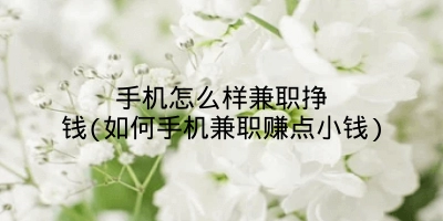 手机怎么样兼职挣钱(如何手机兼职赚点小钱)