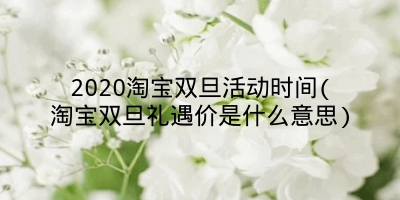 2020淘宝双旦活动时间(淘宝双旦礼遇价是什么意思)