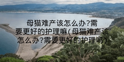 母猫难产该怎么办?需要更好的护理嘛(母猫难产该怎么办?需要更好的护理吗)